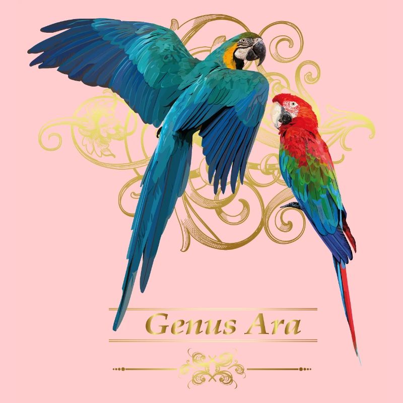 Macaws