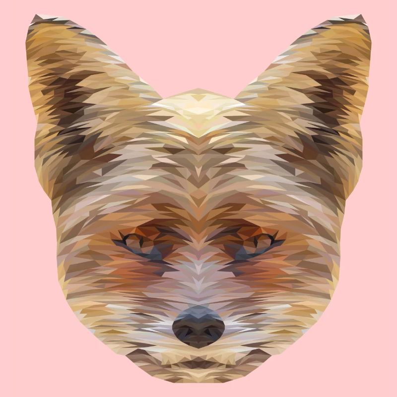 Polygone de renard