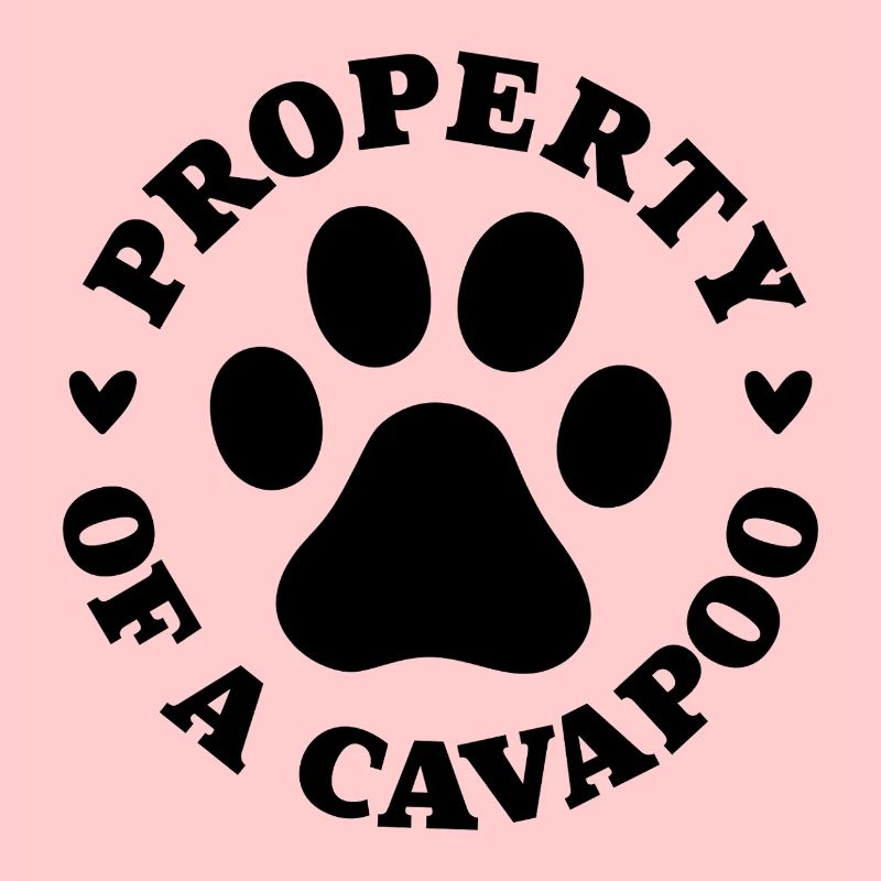 Propriété d’un Cavapoo