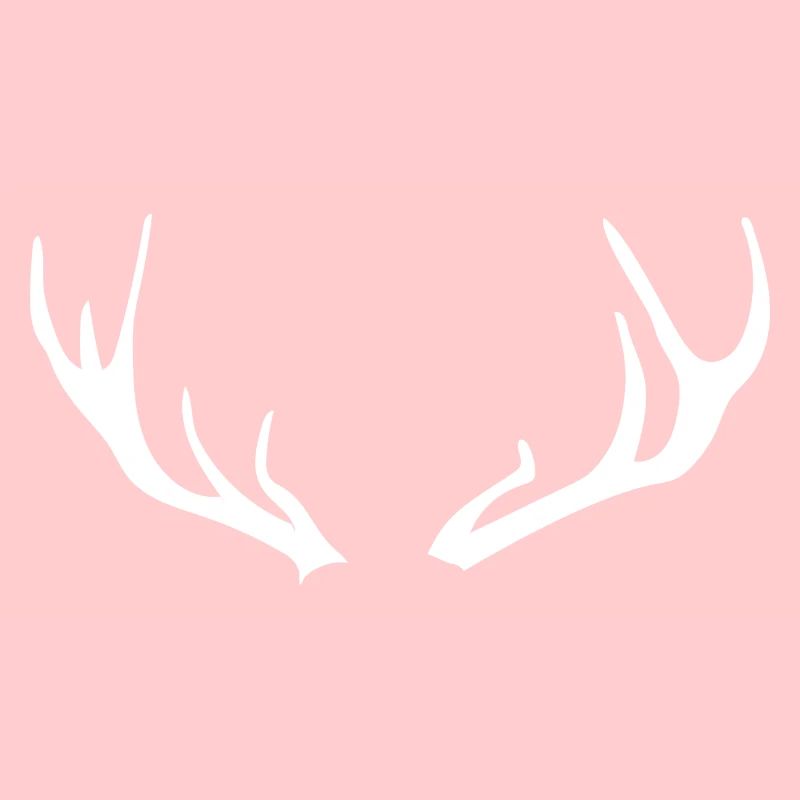 Stag antlers