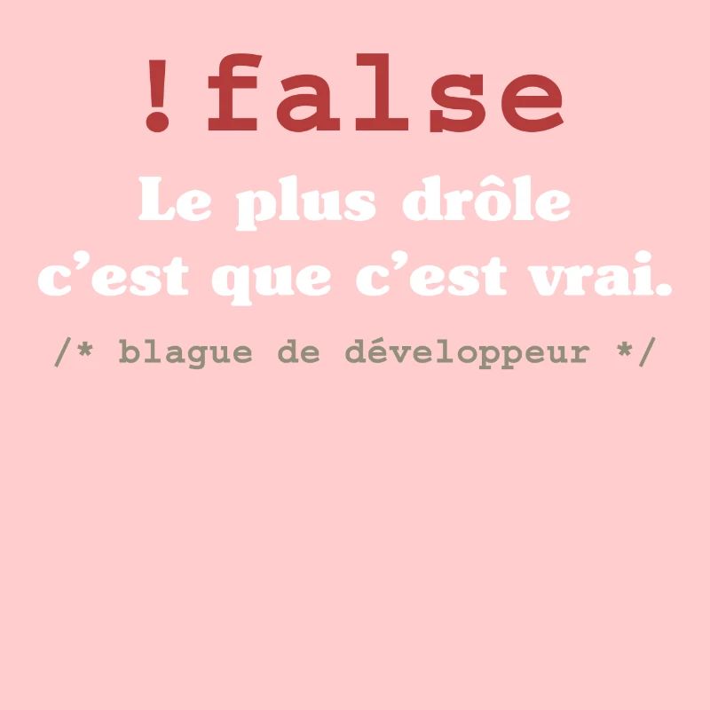 Blague programmeur développeur codeur informatique