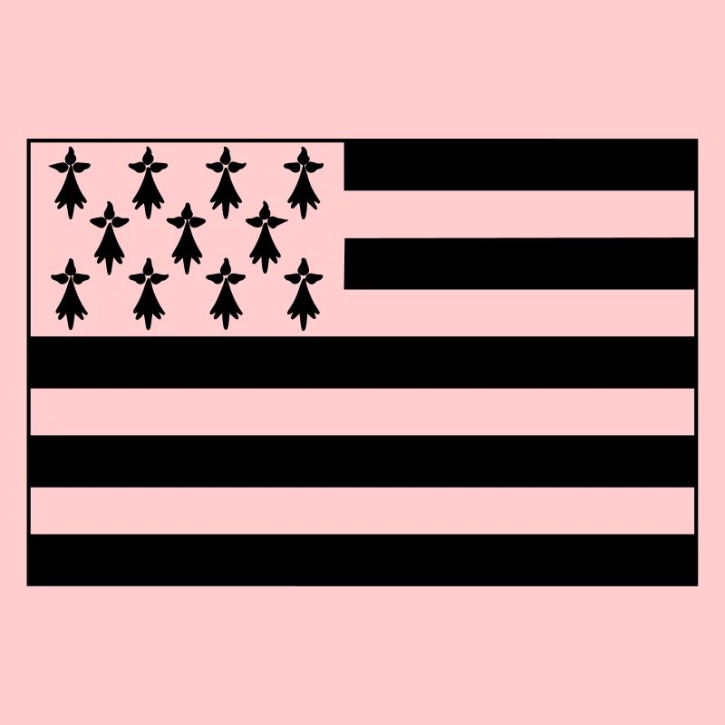 drapeau breton numéro 2