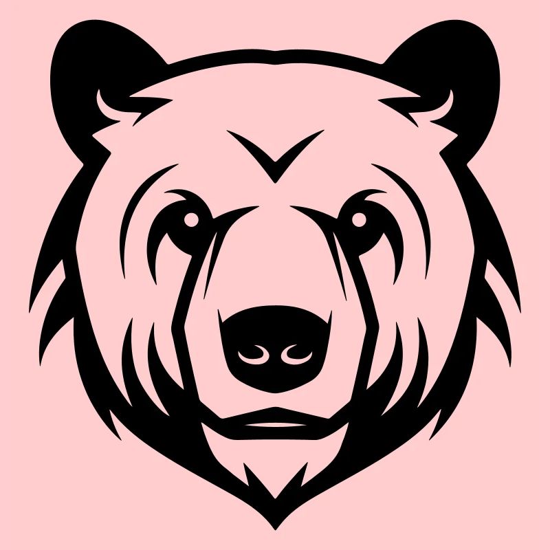 Eisbär Kopf Polar bär