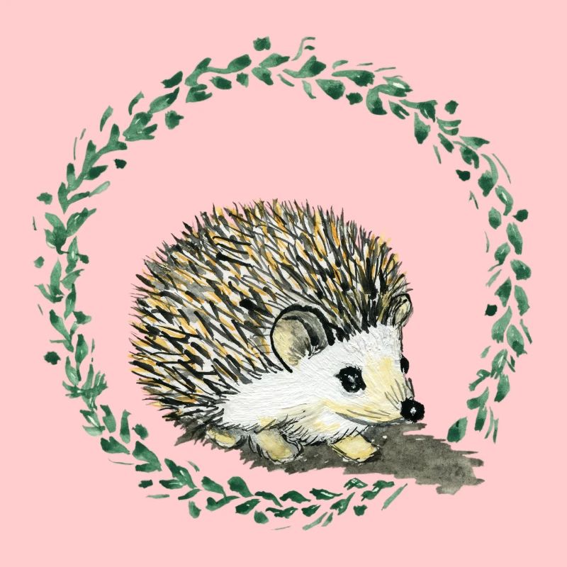 Hérisson