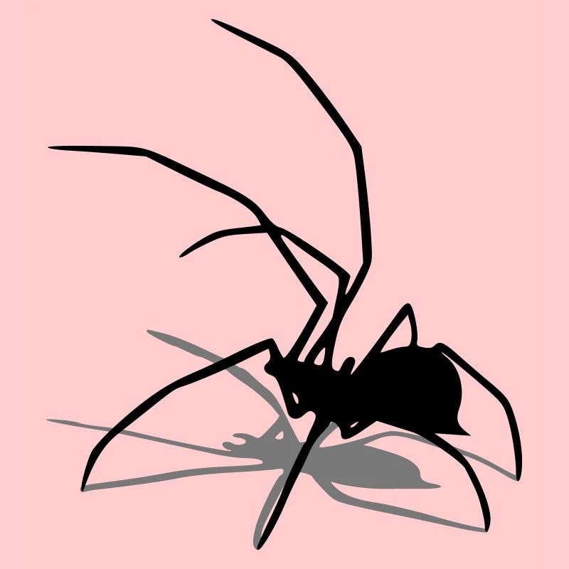 araignée araignée