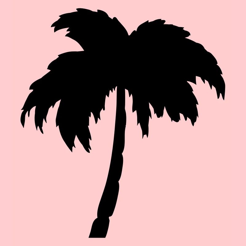 Palmboom
