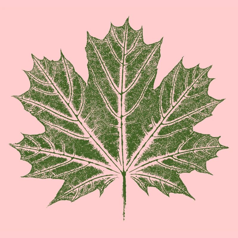 Maple Leaf / Leaf - BOTANICAL Maple