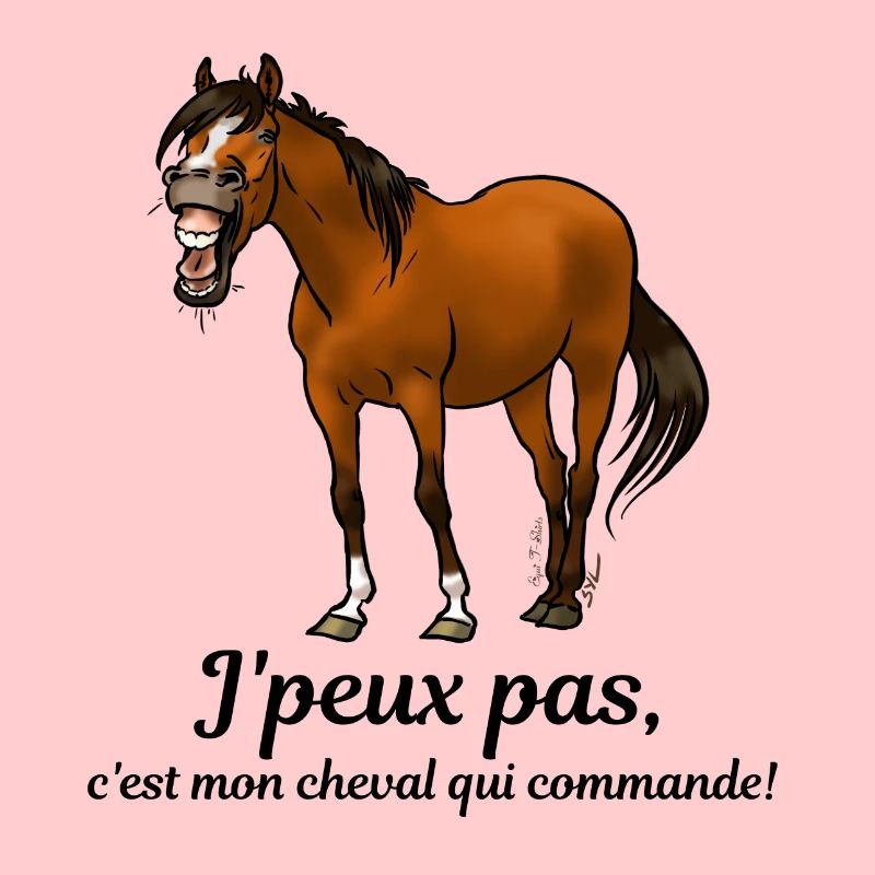 Mon cheval commande