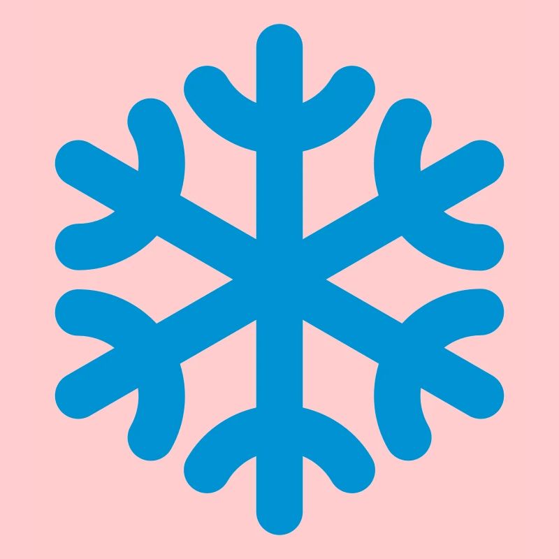 Flocon de neige / flocon de neige