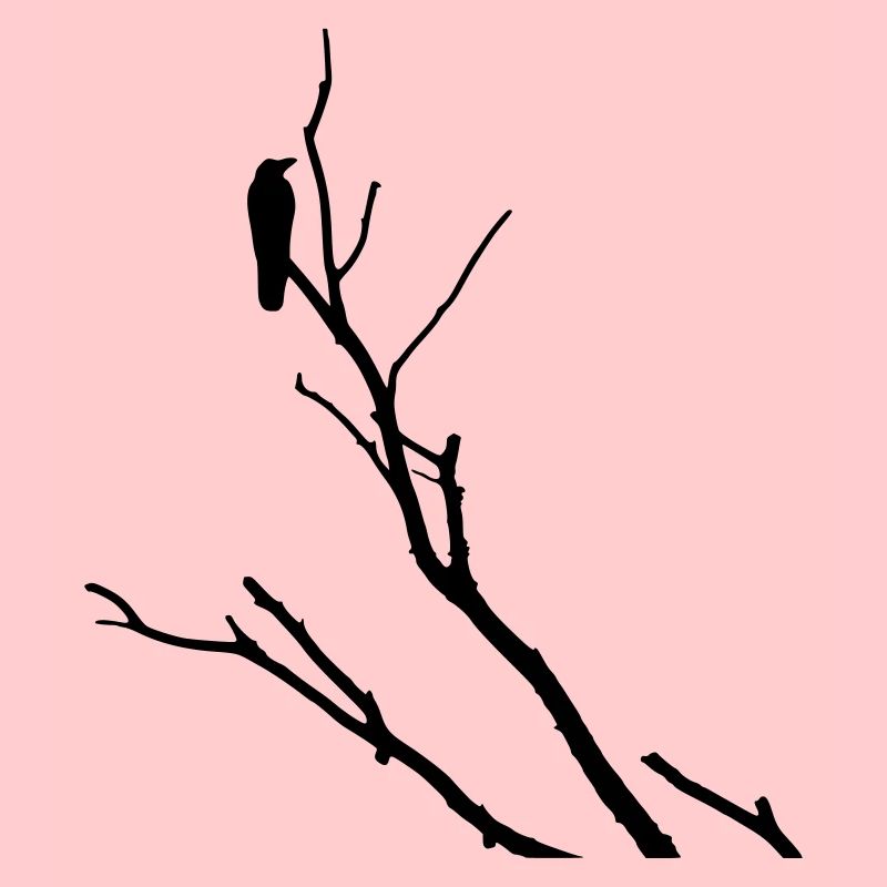 Raven sur la branche