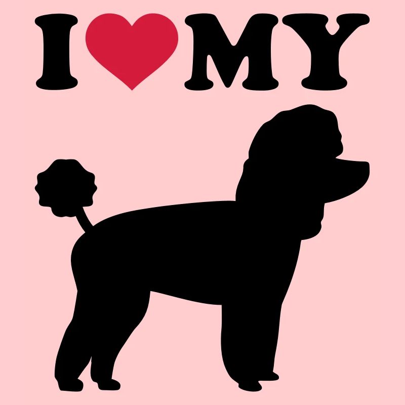 Toy Caniche