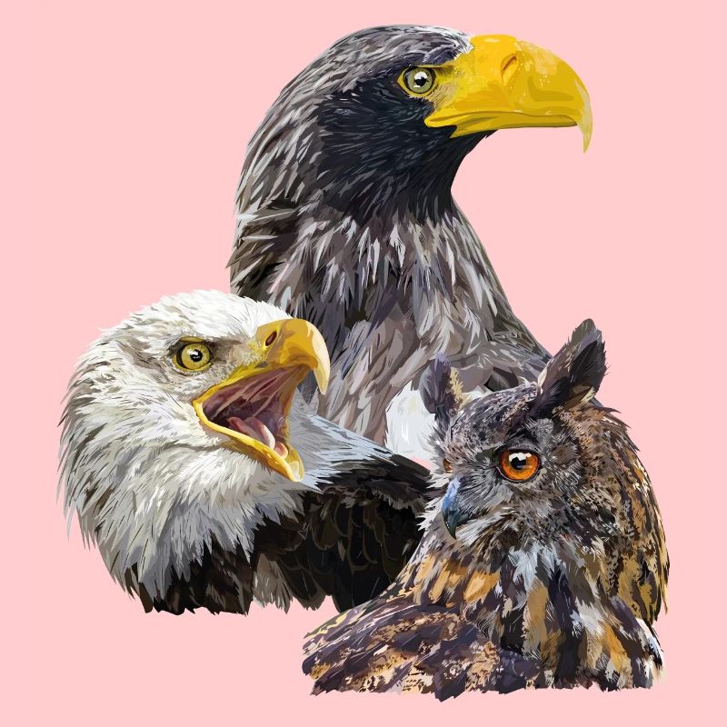 Pigargos und Eule