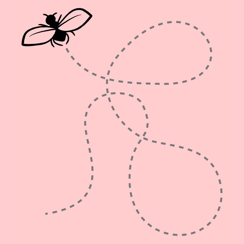 Fliege Gestrichelte Linie