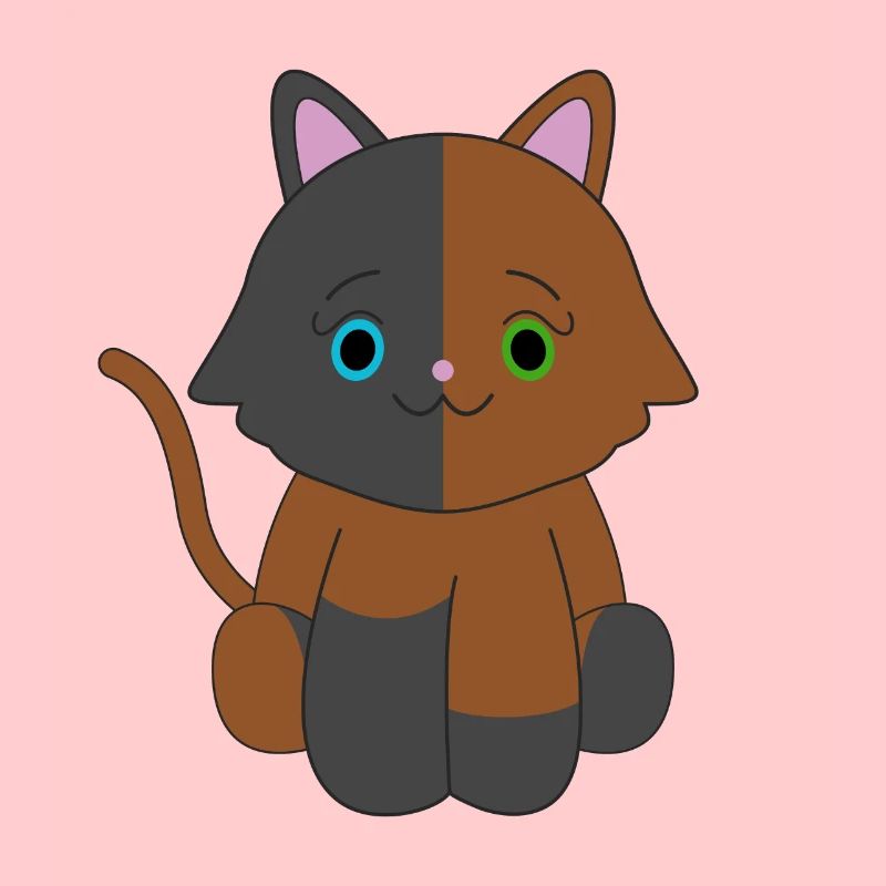 Chat brun et noir