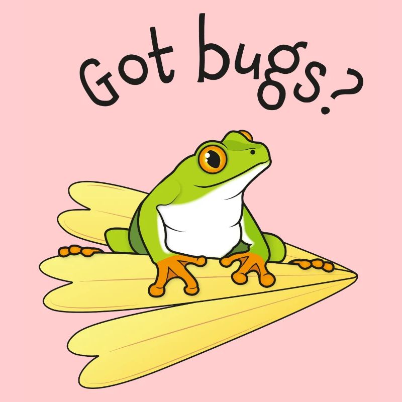 Le rêve de grenouille