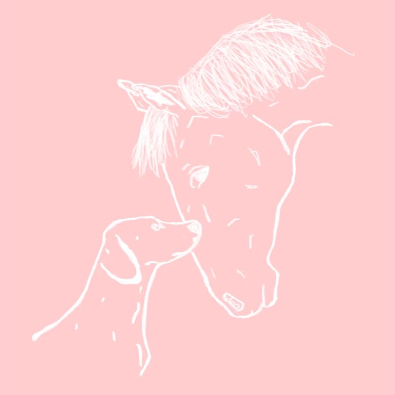 Cheval et chien