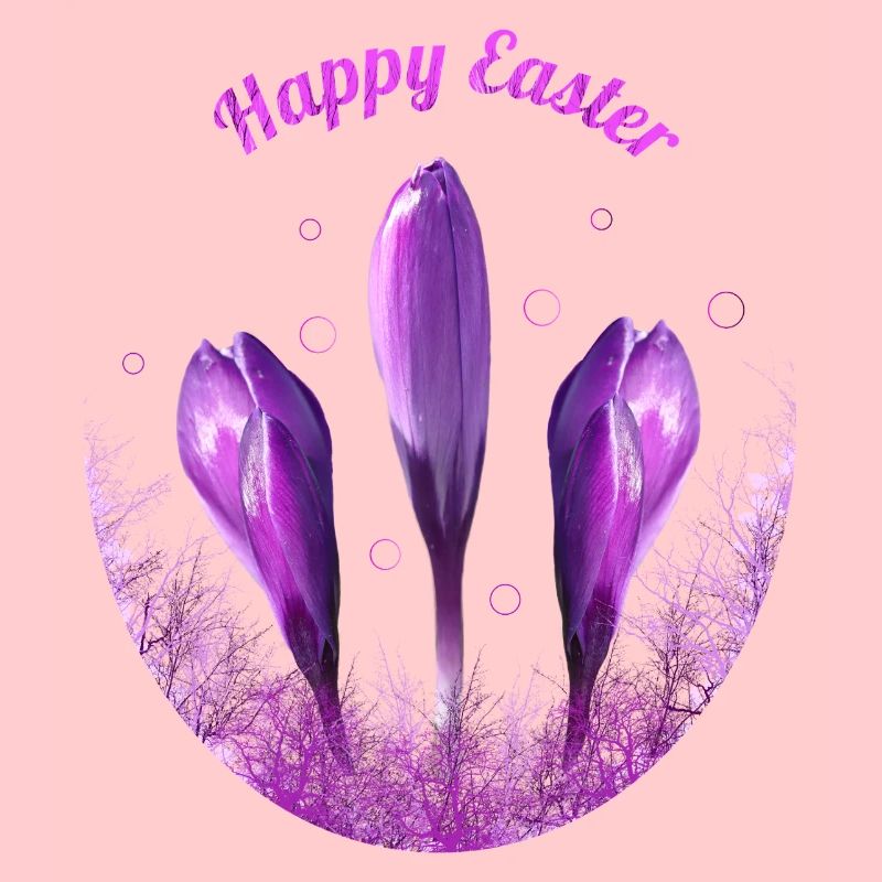 Crocuses Happy Easter