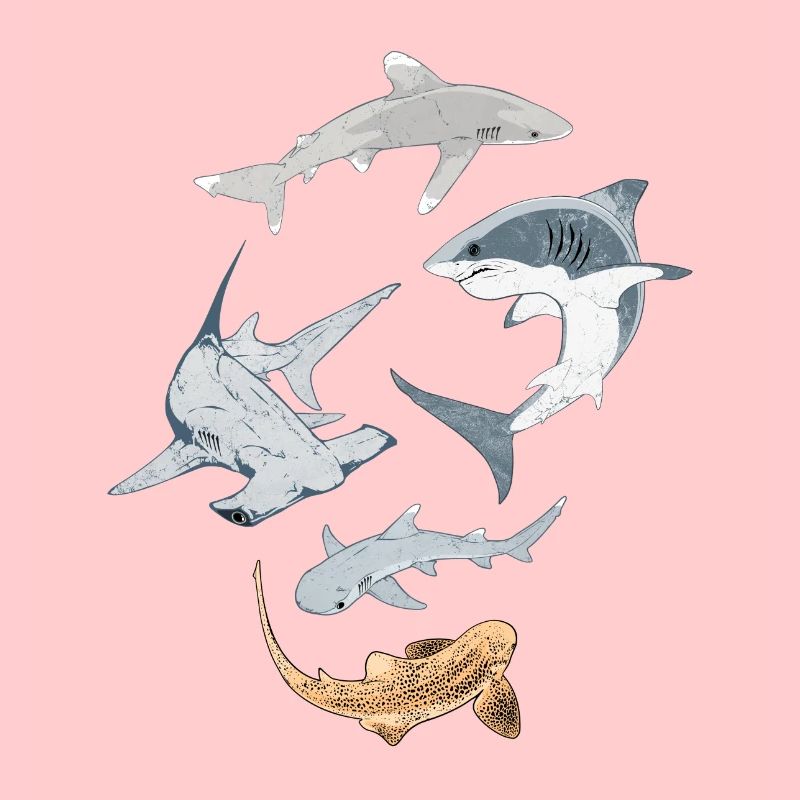 Requins