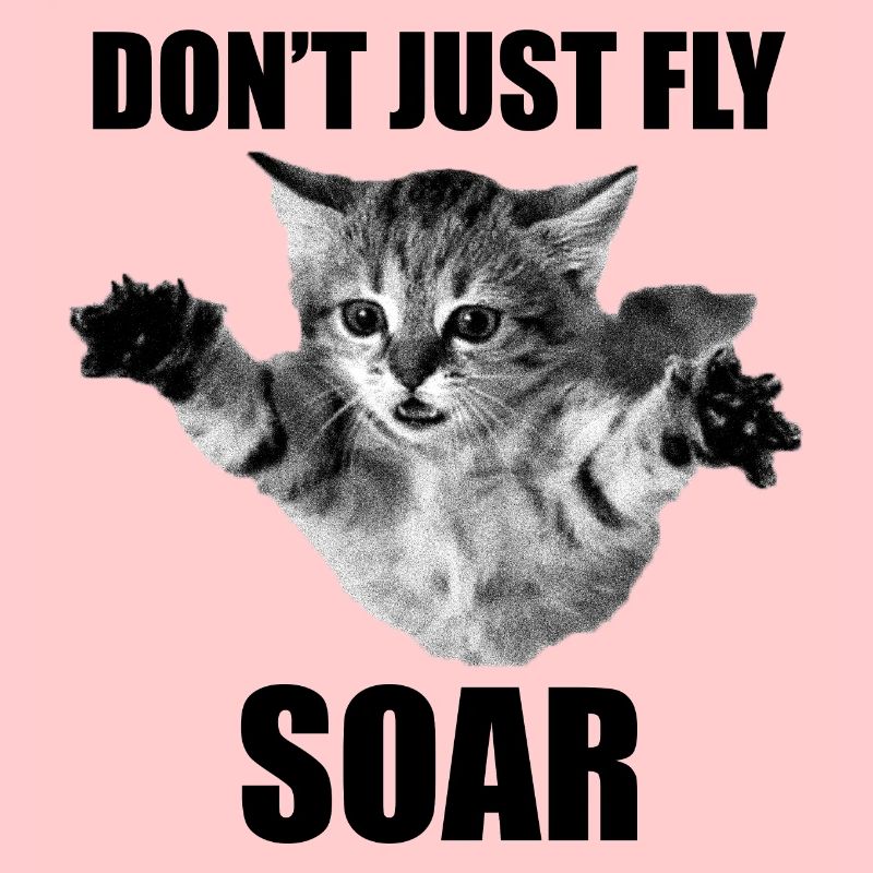 Don't Just Fly Soar Cat Sarkasmus-Meme
