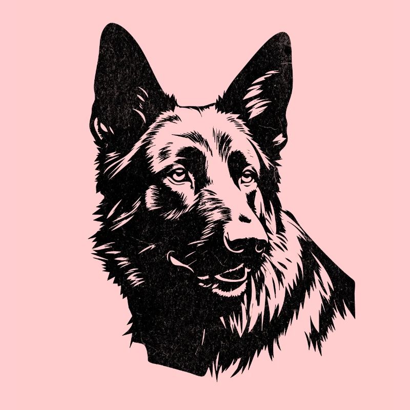 Hund: Deutscher Schäferhund