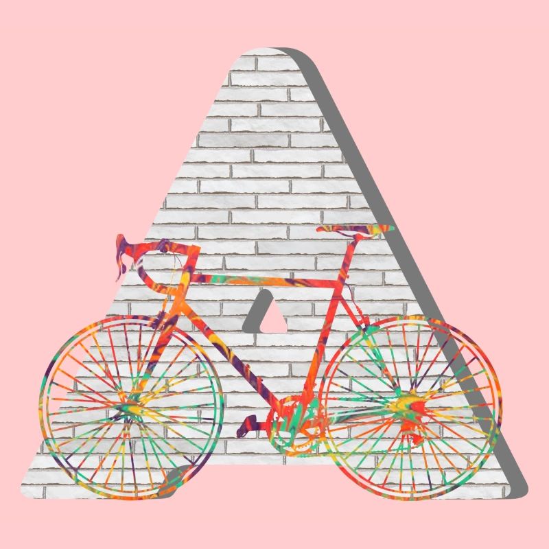 fahrrad e 249 a