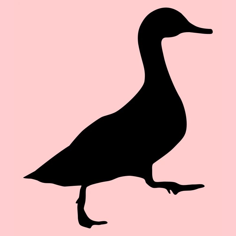 Duck (super cheap!)
