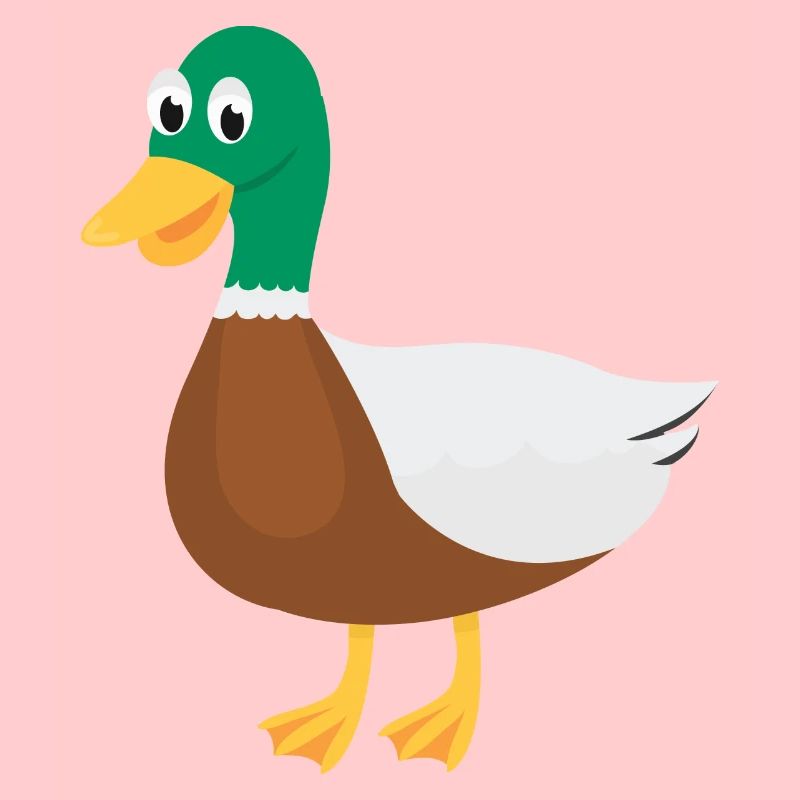 Canard