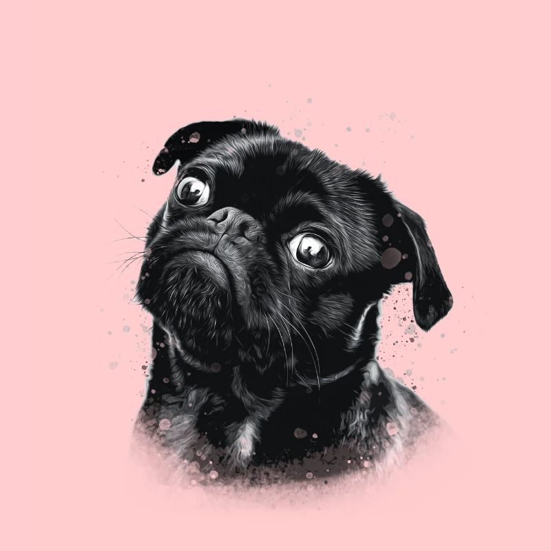 Impression De carlin dans un style comique