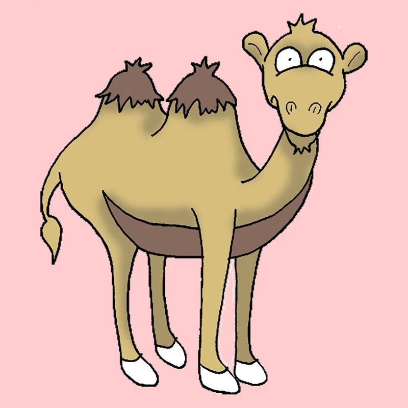Kamel