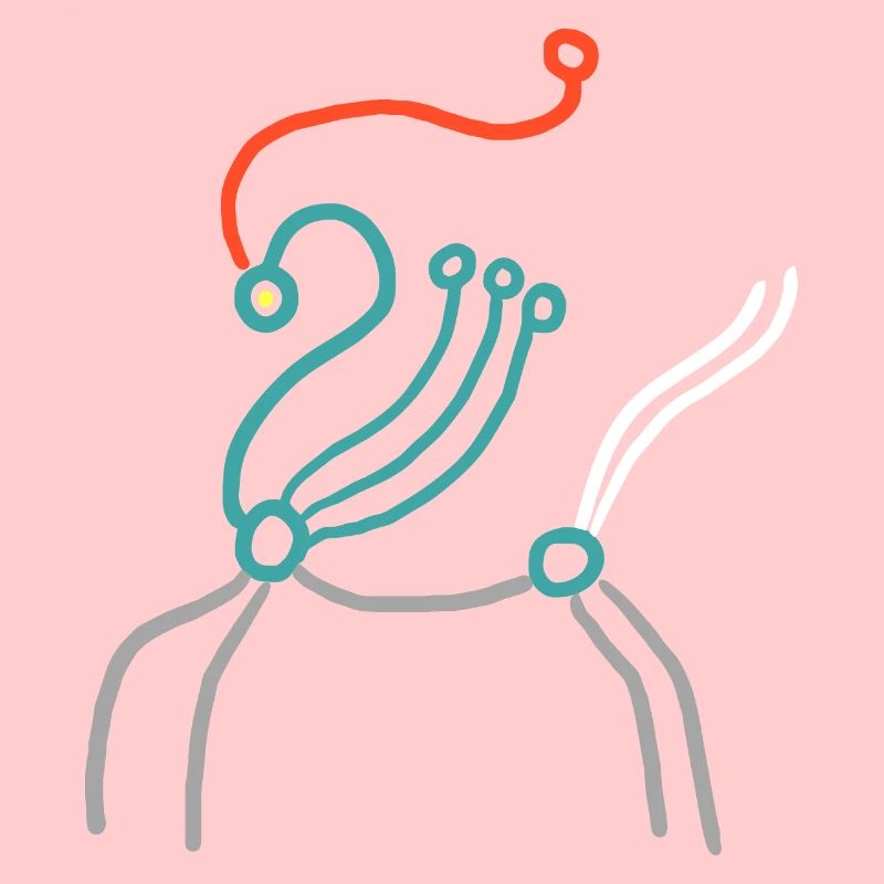Avatar du cheval