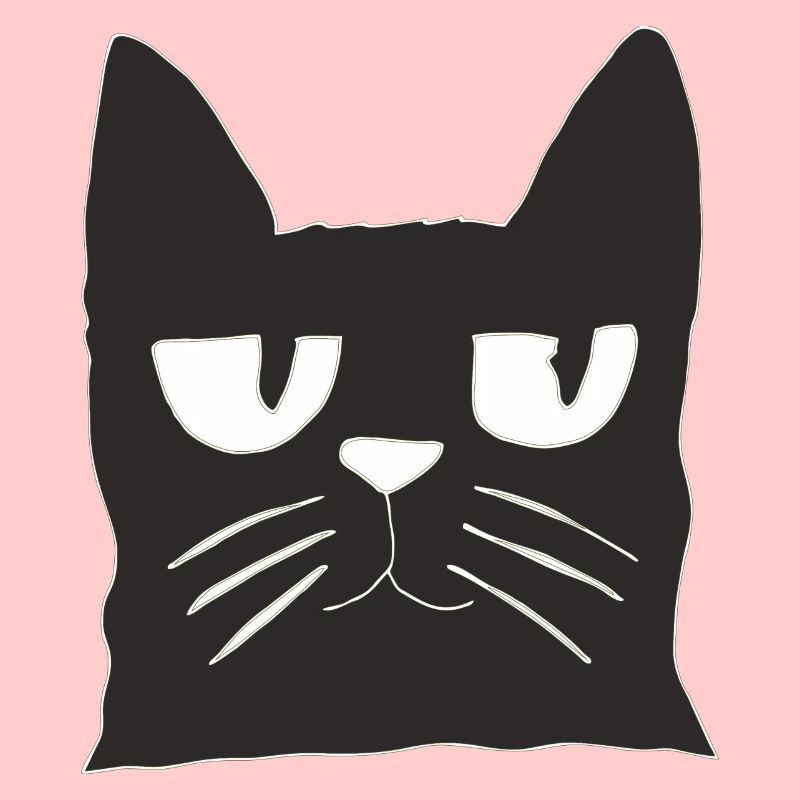 Chat noir