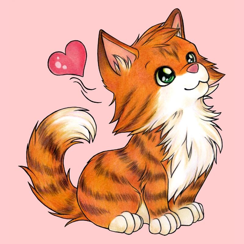 Niedliche Katze mit herzigem Blick Geschenkidee