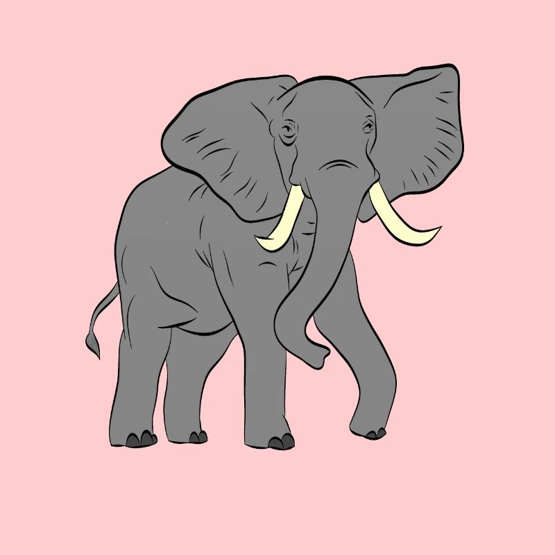 Éléphant - éléphant