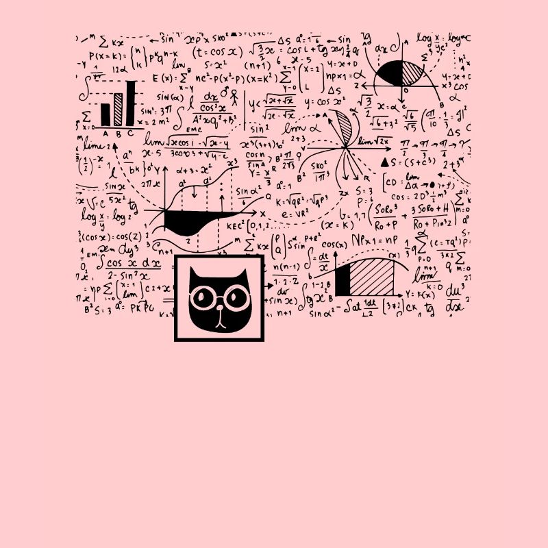 Nerd Schrödinger Physics Big Bang Funny Gift