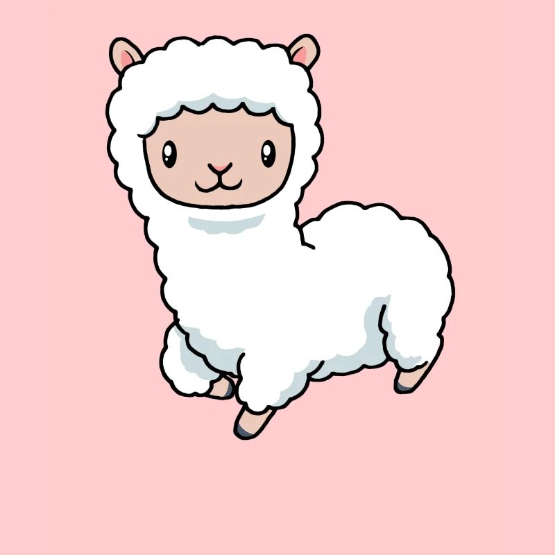 Alpaga bébé