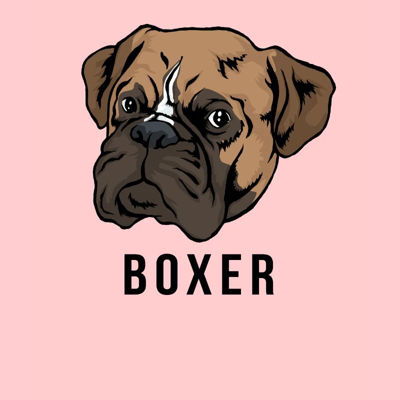 Boxer tête de chien
