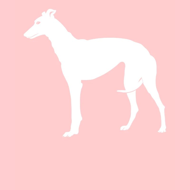 Greyhound greyhound