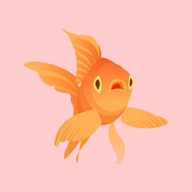 poisson rouge