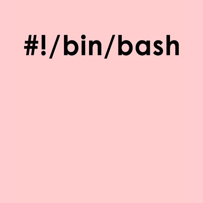 Programmeur Admin Devops Linux Bash