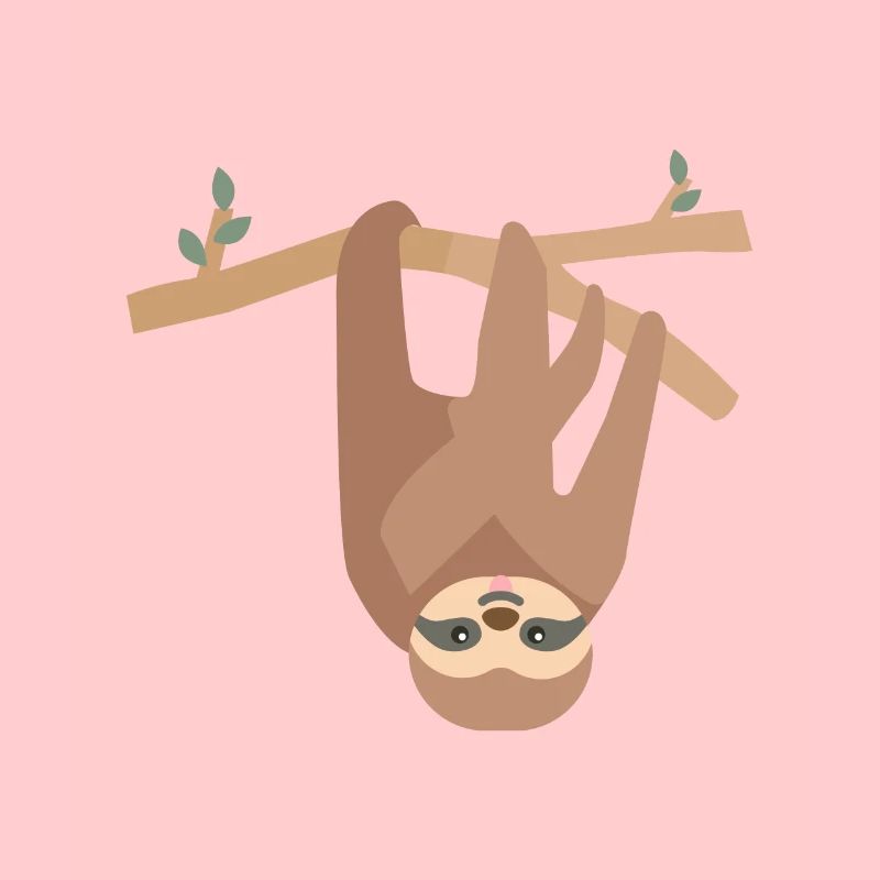 sloth