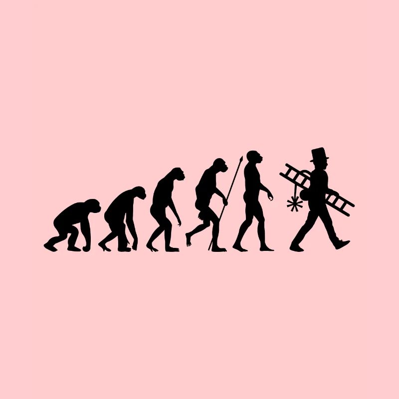 Schornsteinfeger Evolution