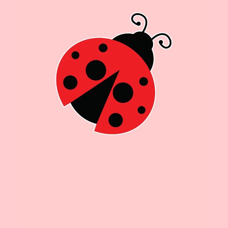 Marienkäfer Glücksbringer Mädchen Junge Geschenk