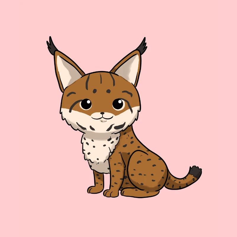 lynx