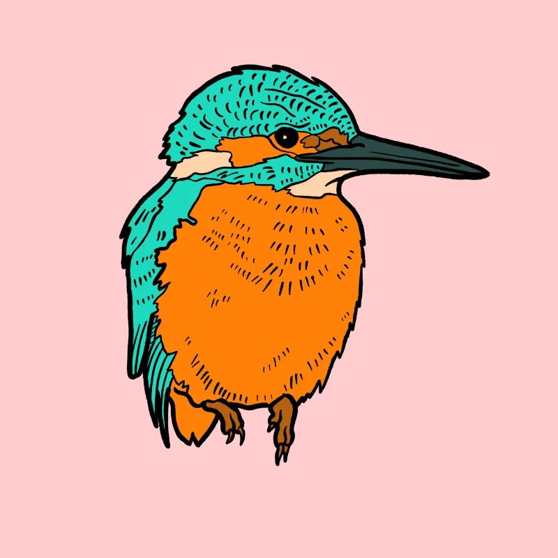 Eisvogel
