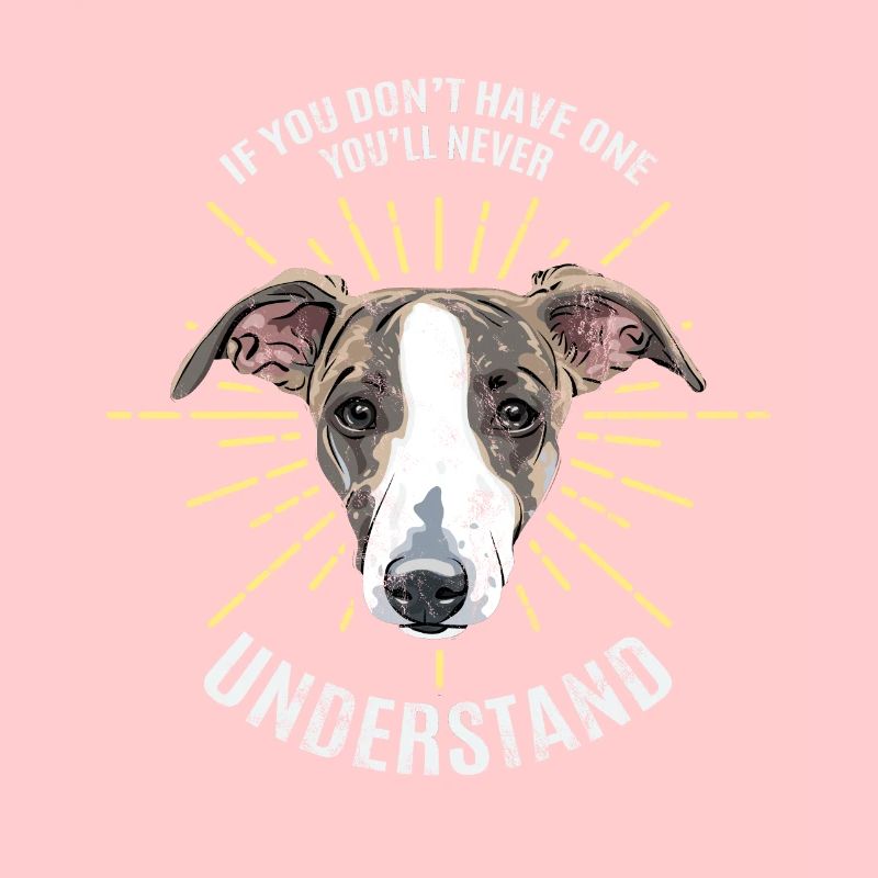 Greyhound greyhound