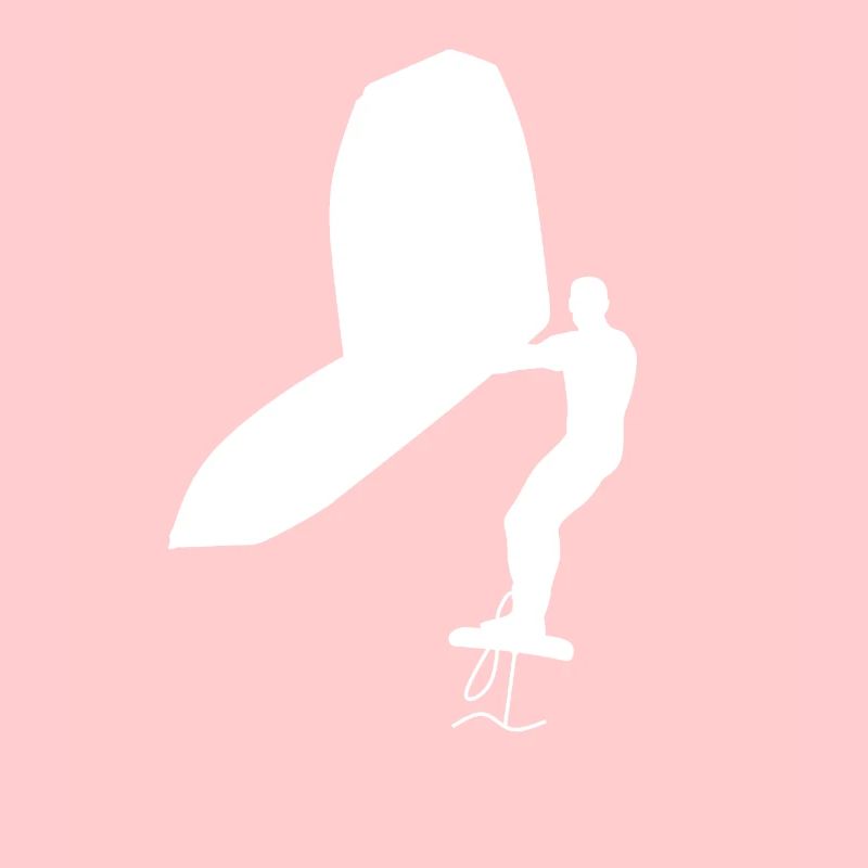 Wingfoiler