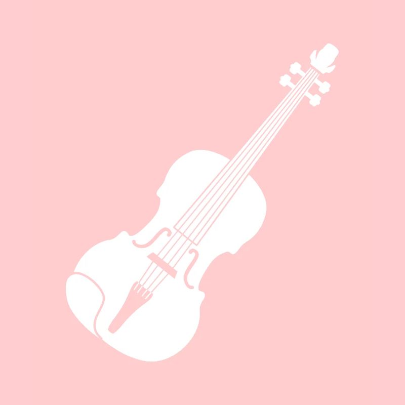Violon violon