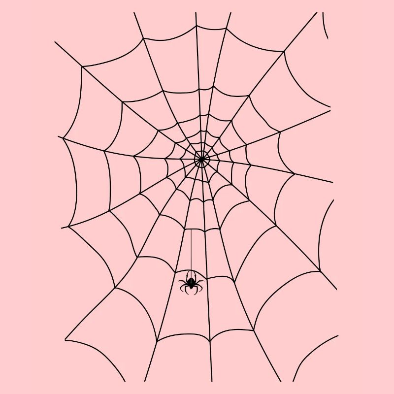 Spinnennetz, Spinne, Spinne im Netz
