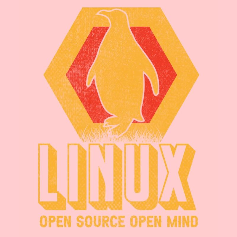 Linux Geek Informaticien
