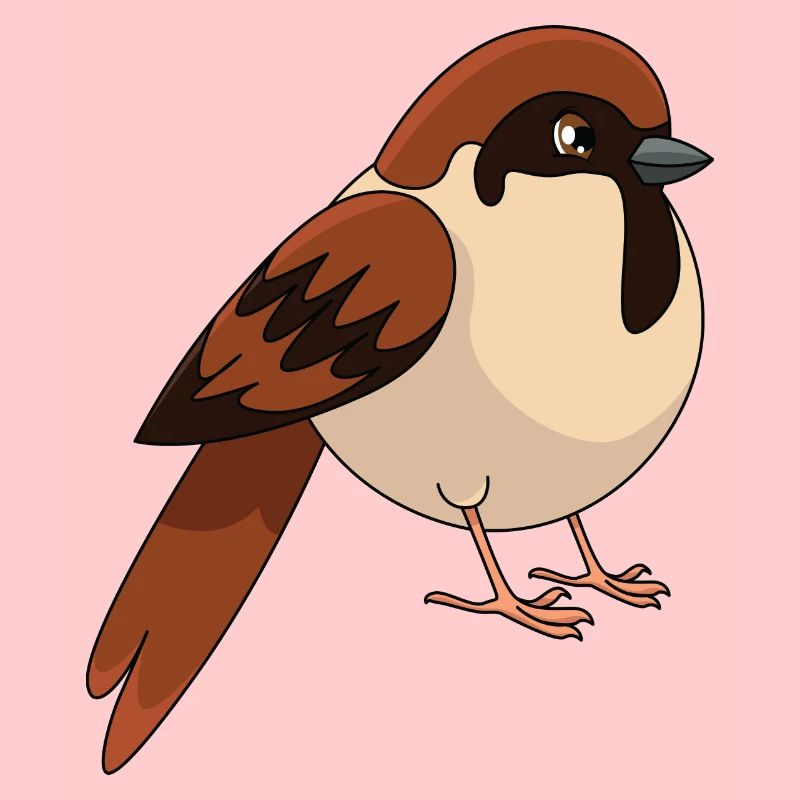 Sparrow